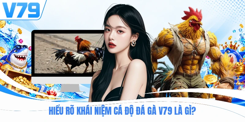 Hiểu rõ khái niệm cá độ đá gà V79 là gì?
