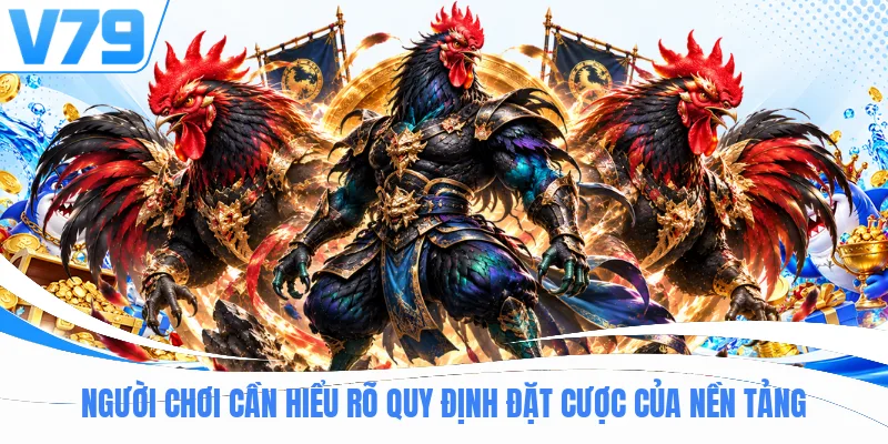 Người chơi cần hiểu rõ quy định đặt cược của nền tảng