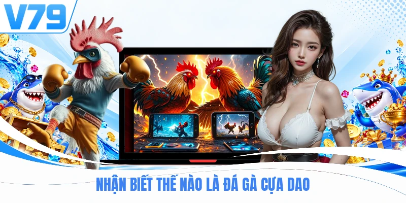 Nhận biết thế nào là đá gà cựa dao